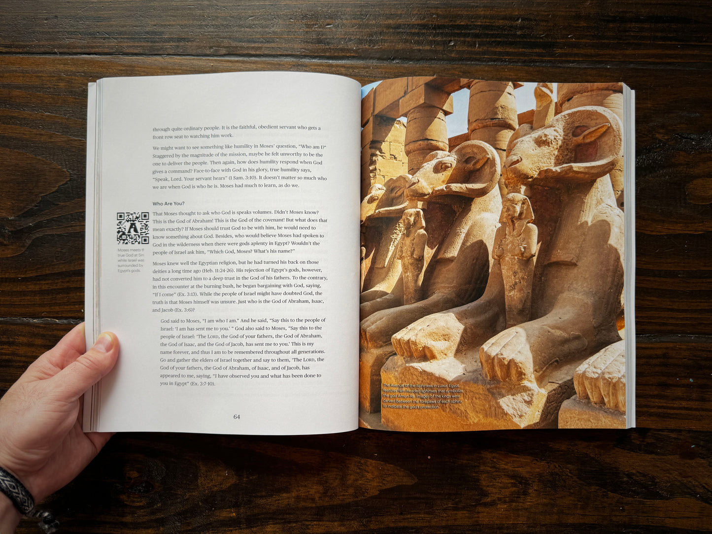 Out of Egypt Workbook