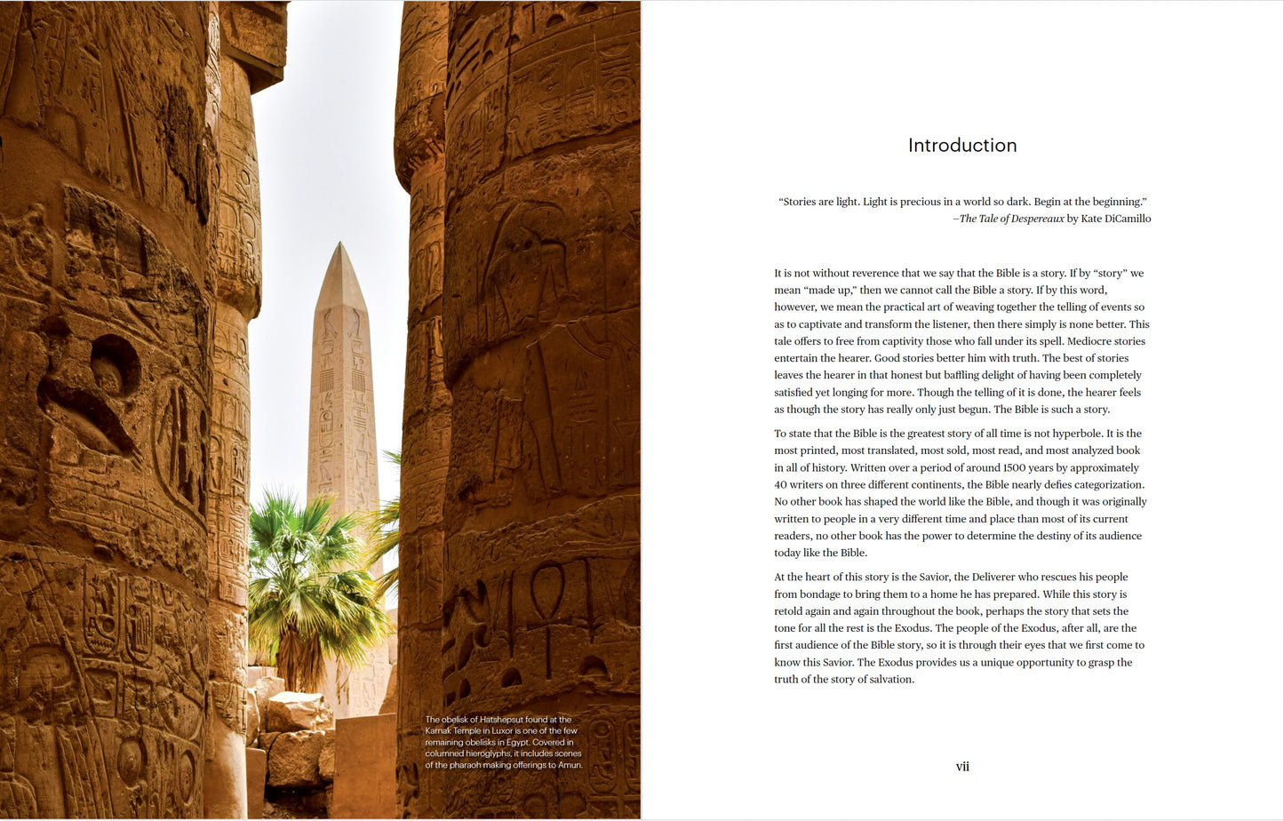 Out of Egypt Workbook