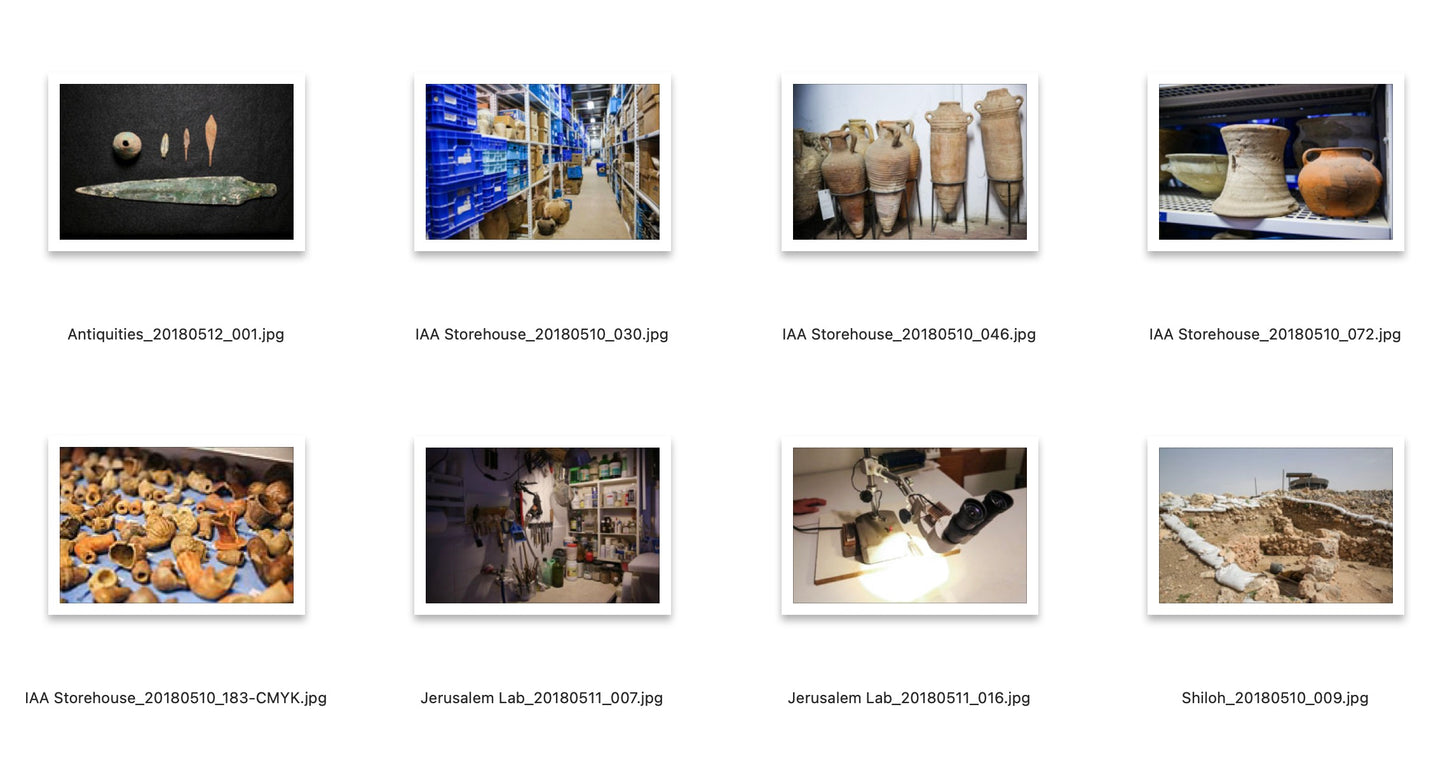 Searching for a King Digital Class Material - Powerpoint + Keynote (Print up to 60 Copies)