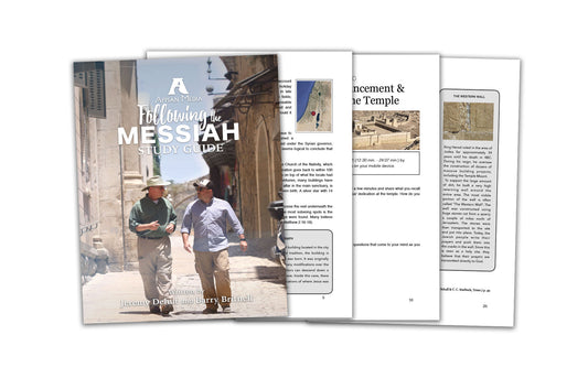 Following the Messiah Workbook - E-Book (Non-Printable)