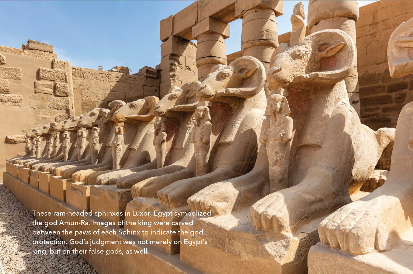 Lessons from the Land: the Exodus Study Guide - E-Book (Non-Printable)