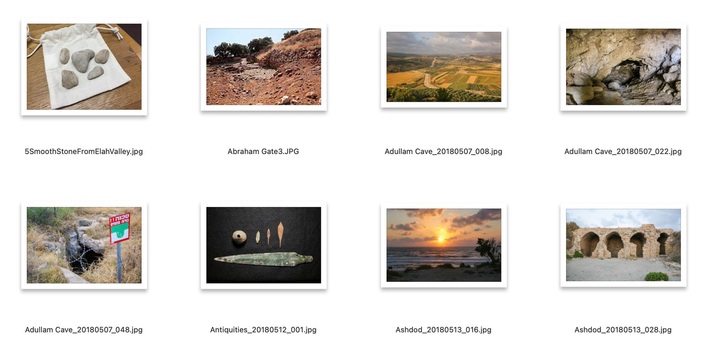 Searching for a King Workbook - E-Book (Non-Printable)