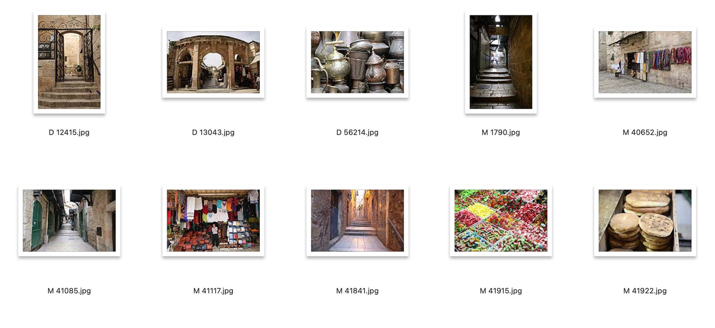 Lessons from the Land: the Gospels Study Guide - E-Book (Non-Printable)